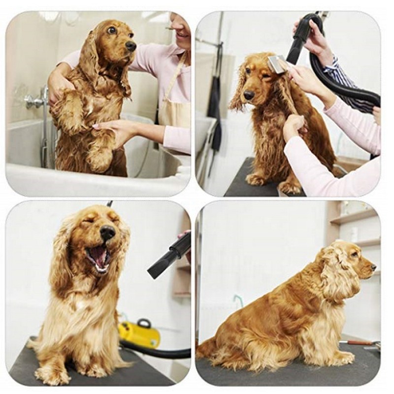 Dog Dryer Supplier - 3.8HP 2800W Professional Grooming Blower Speed Adjustable with Heater