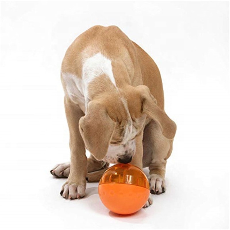 Interactive Dog Toy Supplier - Chinese Cheap Wholesale IQ Treat Ball Interactive Toy