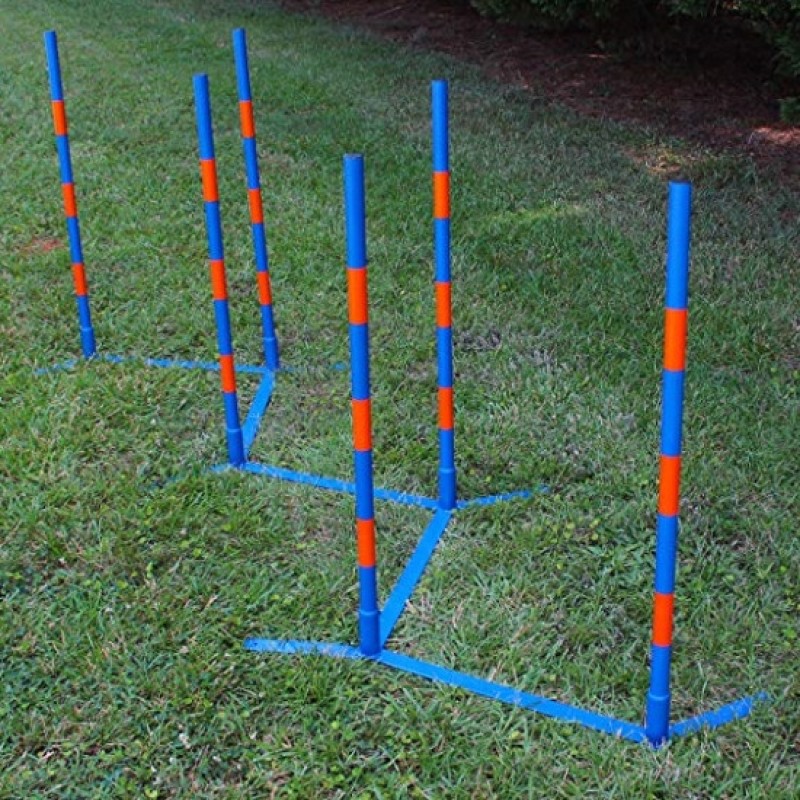Dog Agility Equipment Supplier - Factory Price Agility Weave Poles Competition Grade Adjustable