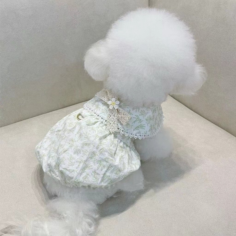 Pet Apparel Factory - Luxury Cotton Floral Fairy Dress for Bichon Teddy Cat XL XXL