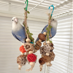 Bird Swing Supplier - Wholesale Parrot Chewing Toys Hanging Bell Cage Toys for Small Birds