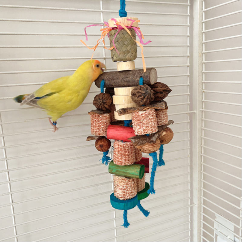 Parrot Swing Supplier - Chewing Toys Hanging Bell Cage Toys for Small Parakeets Cockatiels