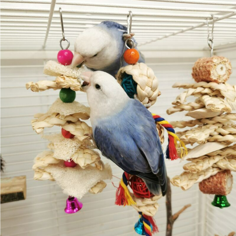 Bird Chewing Toy Manufacturer - Factory Price Large Parrot Multicolored Wooden Blocks Tearing