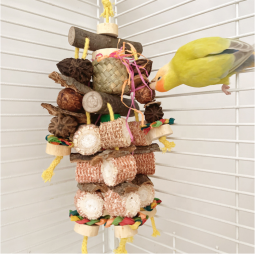 Parrot Swing Supplier - Chewing Toys Hanging Bell Cage Toys for Small Parakeets Cockatiels