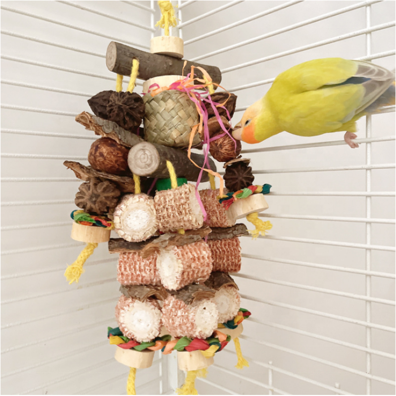 Parrot Swing Supplier - Chewing Toys Hanging Bell Cage Toys for Small Parakeets Cockatiels