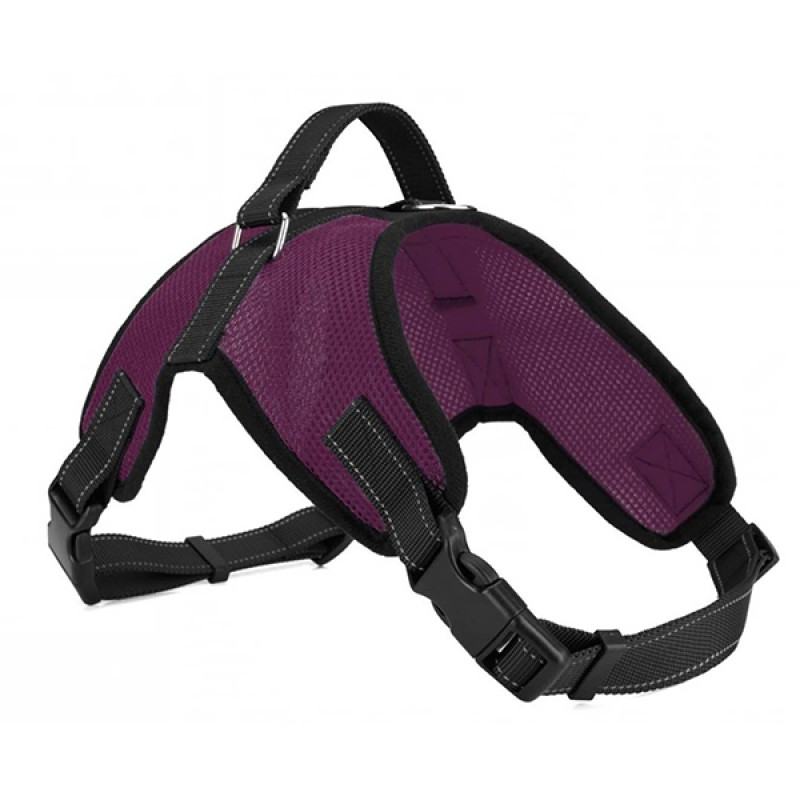 Dog Harness Factory - Metal Buckle Pet Harness for Dogs