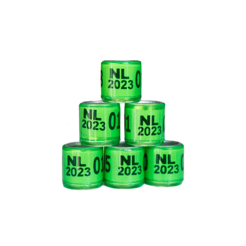 Bird Harness Supplier - Flying Traction Rope Anti-Bite Training Harness for Parrots