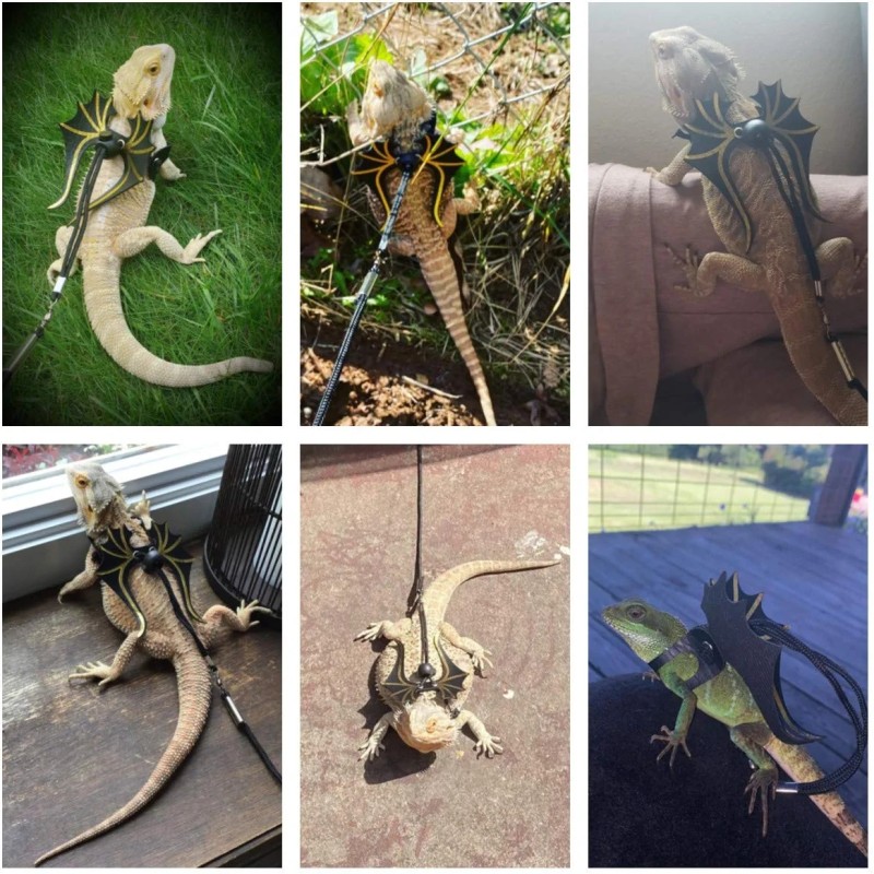 Aquarium Ornament Factory - Aerating Bubbler Stone Decorations with Standard Tubing