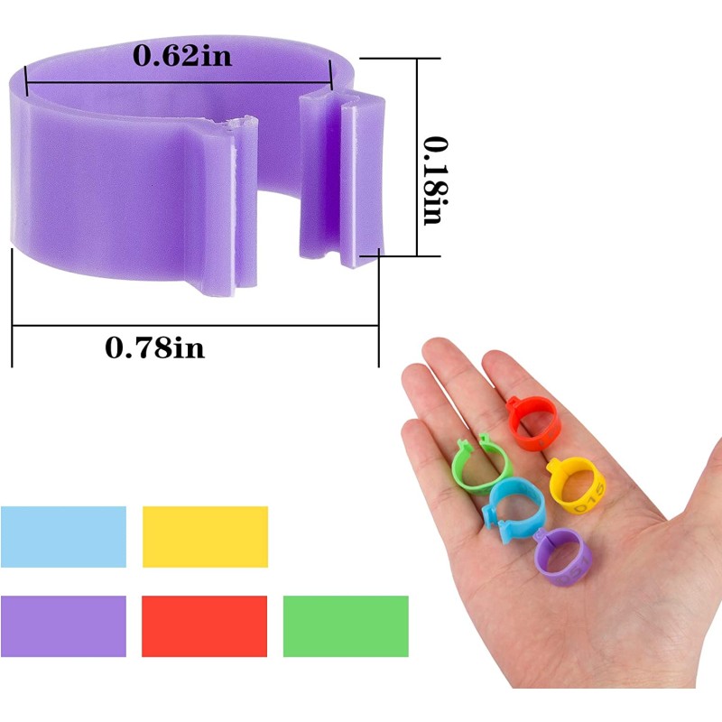 Lizard Harness Supplier - Adjustable Leather Lead with Halloween Pumpkin Hat Set