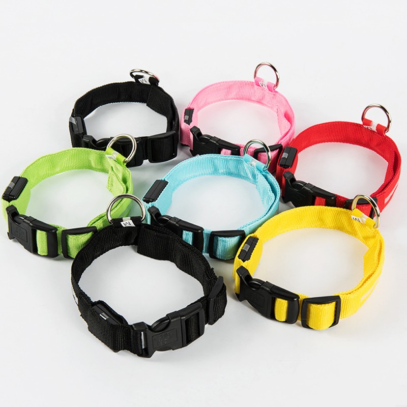 Custom LED Collar Supplier - Hot Selling Light Up Pet Collar USB Rechargeable