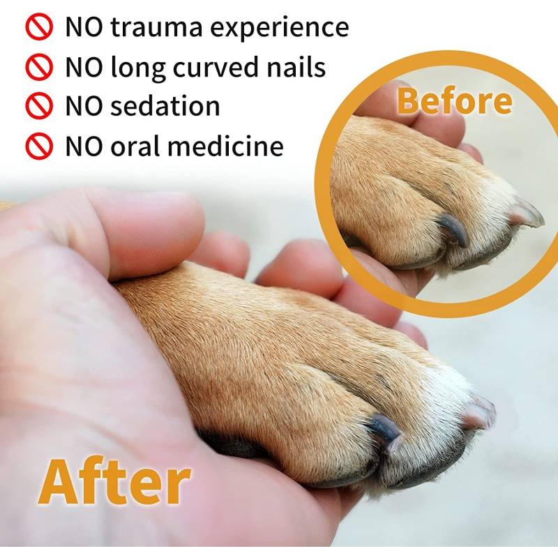 Dog Scratch Board Manufacturer - Cat Scratch Pad Nail File Board Bamboo Toy