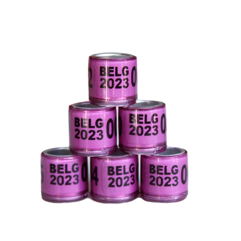 Bird Harness Supplier - Flying Traction Rope Anti-Bite Training Harness for Parrots