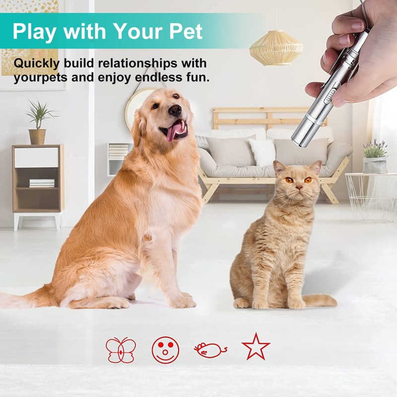Laser Pointer Toy Factory - Indoor Outdoor Kitten Cat Dog Laser Toys