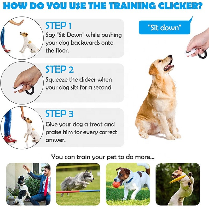 Pet Clicker Supplier - Custom Logo High Quality Stop Barking Training Clicker