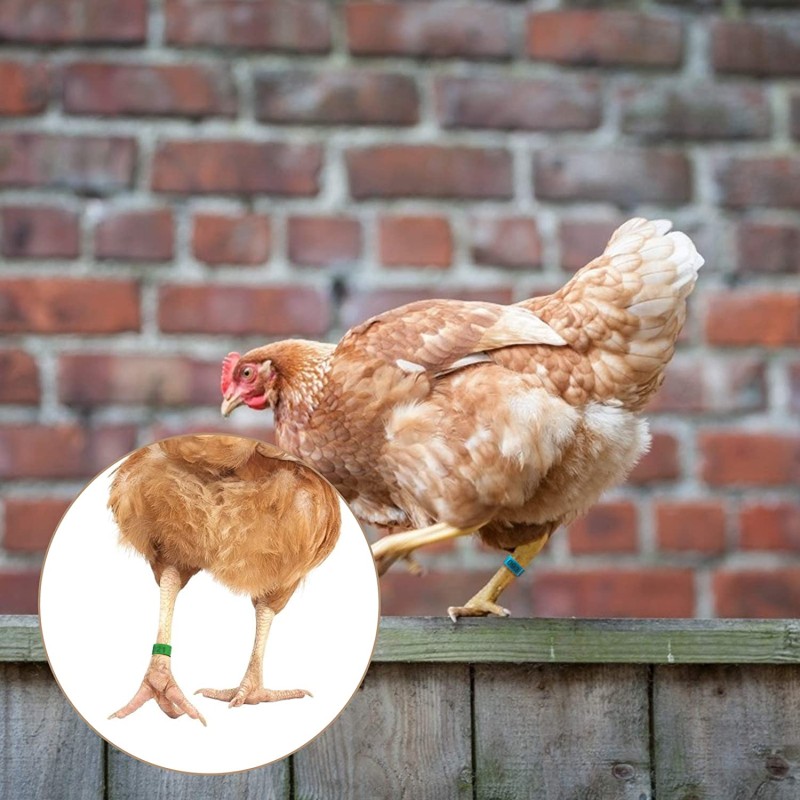 Pet Hat Manufacturer - Adjustable Funny Winter Embroidery Knit Visor Hats for Dogs