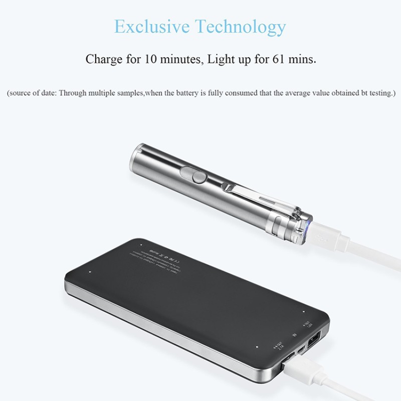 Laser Pointer Stick Supplier - Custom Silvery Laser Mouse Pointer Cat Training Toy