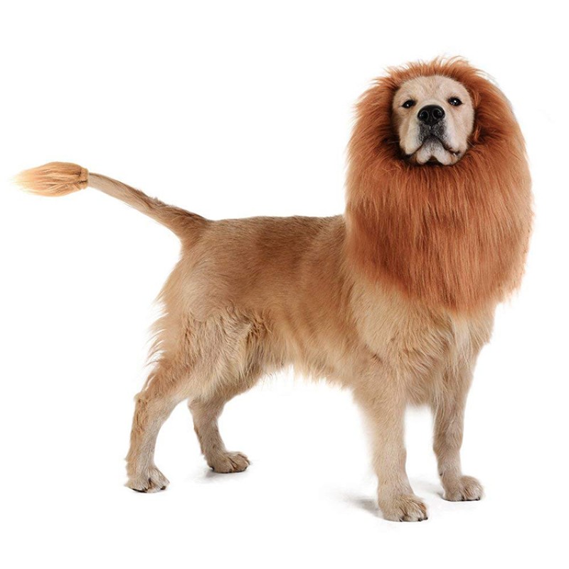 Pet Costume Manufacturer - Hot Sale Festival Party Lion Mane Wig for Dogs