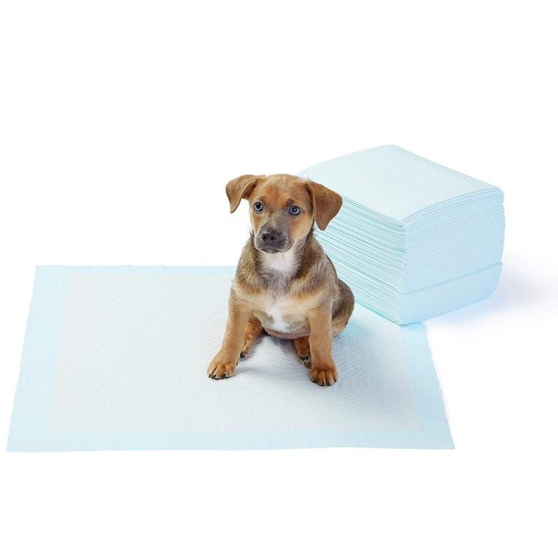 Pet Training Pad Supplier - Disposable Puppy Dog Pee Training Pad