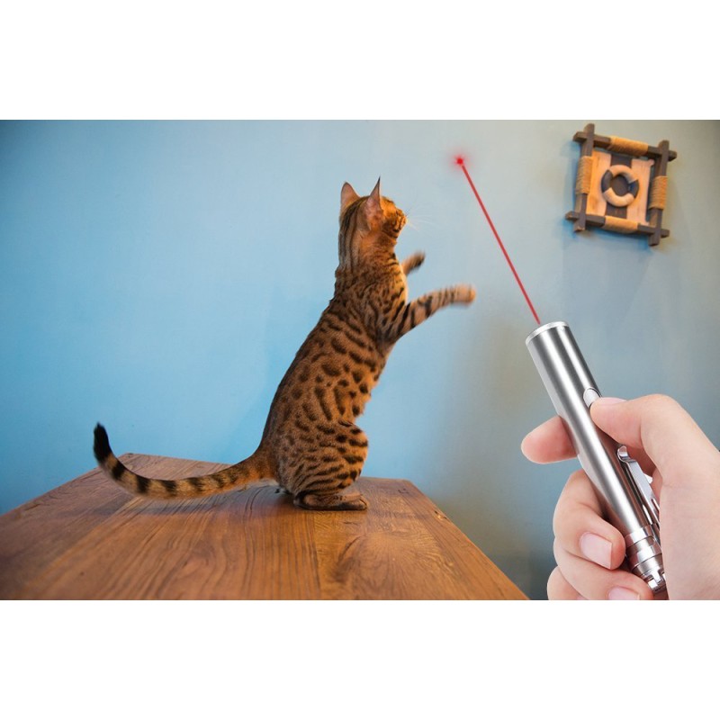 Pet Laser Toy Supplier - 3 in 1 Rechargeable Multi Function LED Laser Pointer