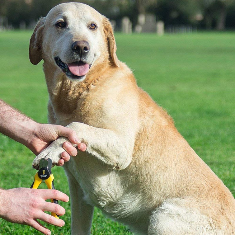 Dog Nail Clippers Factory - Bulk Safe Non-Slip Stainless Steel Rubber PP ABS