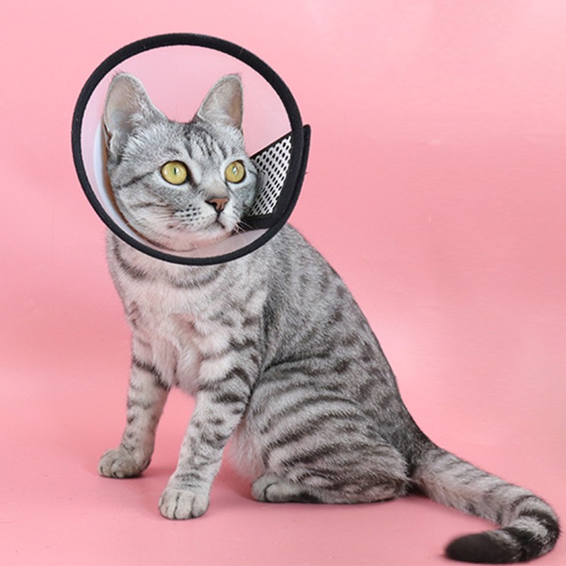 Pet Recovery Collar Manufacturer - Plastic Adjustable Cone Anti-Bite Lick Wound Healing