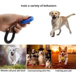 Pet Training Products
