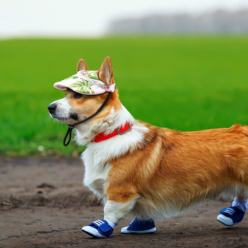 Poultry Feeder Manufacturer - Automatic Hanging Water Nipple Feeders for Birds