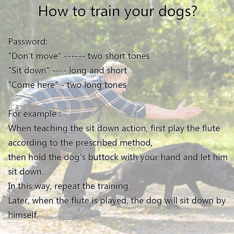 Ultrasonic Whistle Supplier - with Lanyard Funny Steel Metal Stop Barking Whistle