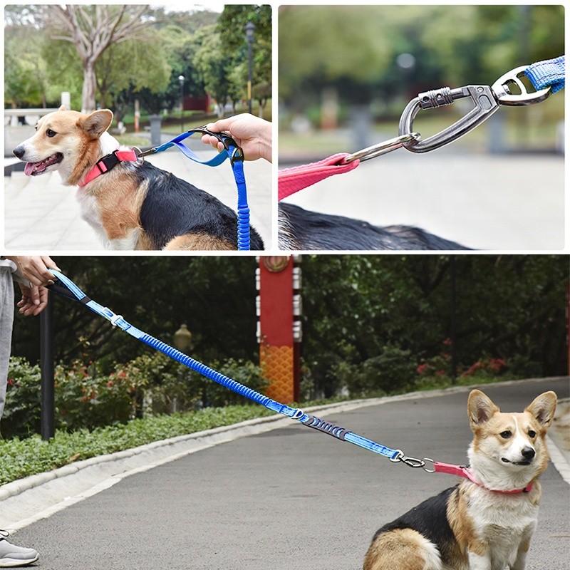 Retractable Dog Leash Manufacturer - 6FT Heavy Duty Shock Absorbing Nylon Bungee