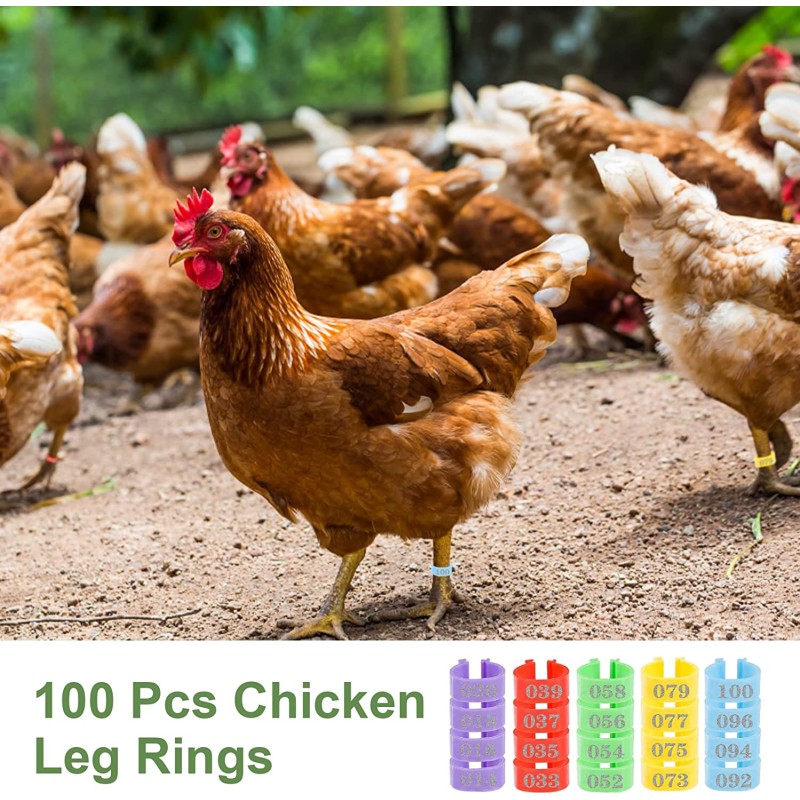 Pet Hat Manufacturer - Adjustable Funny Winter Embroidery Knit Visor Hats for Dogs