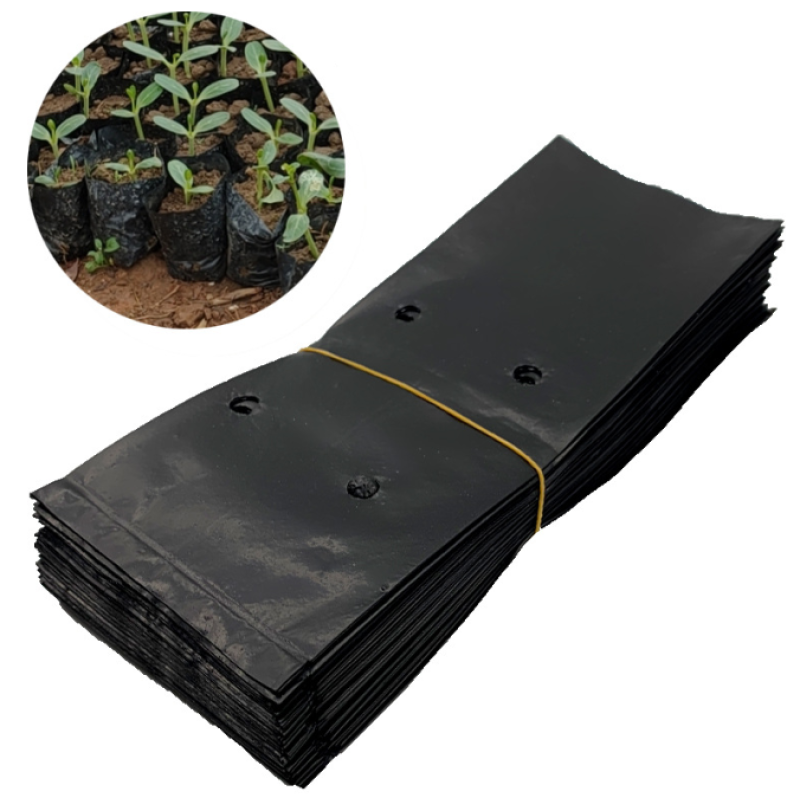 Seedling Grow Bag Factory - Different Size Perforated Black Plastic Bag for Plant Nursery
