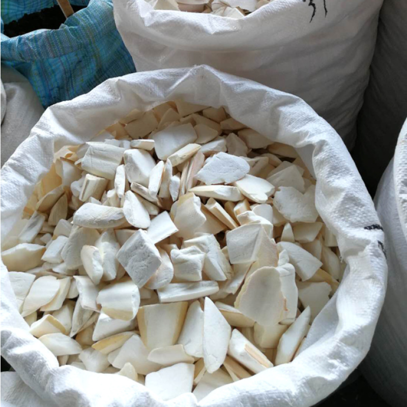 Cuttlebone Manufacturer - High Quality Dried Cuttlebone Sepium for Birds