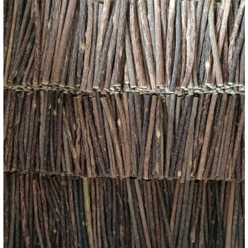 Silvervine Powder Manufacturer - Natural Pet Silvervine Matatabi Stick Powder for Cats Food