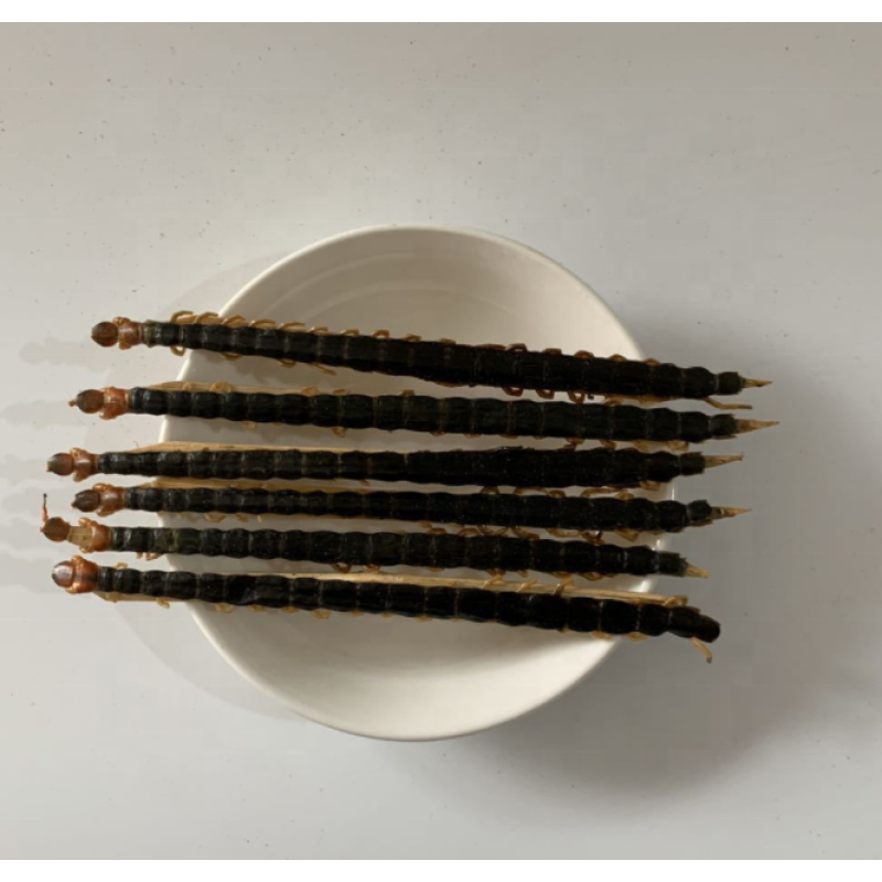 Dried Centipede Factory - Natural Wu Gong Chinese Herb Spice Dried Centipede on Sale