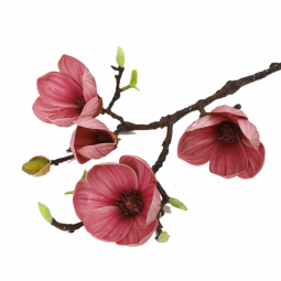 Artificial Magnolia Factory - High Quality Artificial Magnolia Flower for Home Decoration