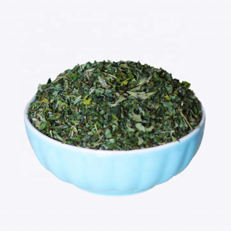 Catnip Leaf Supplier - 100% Organic Fresh Crushed Catnip Leaf Dried Treats for Kittens