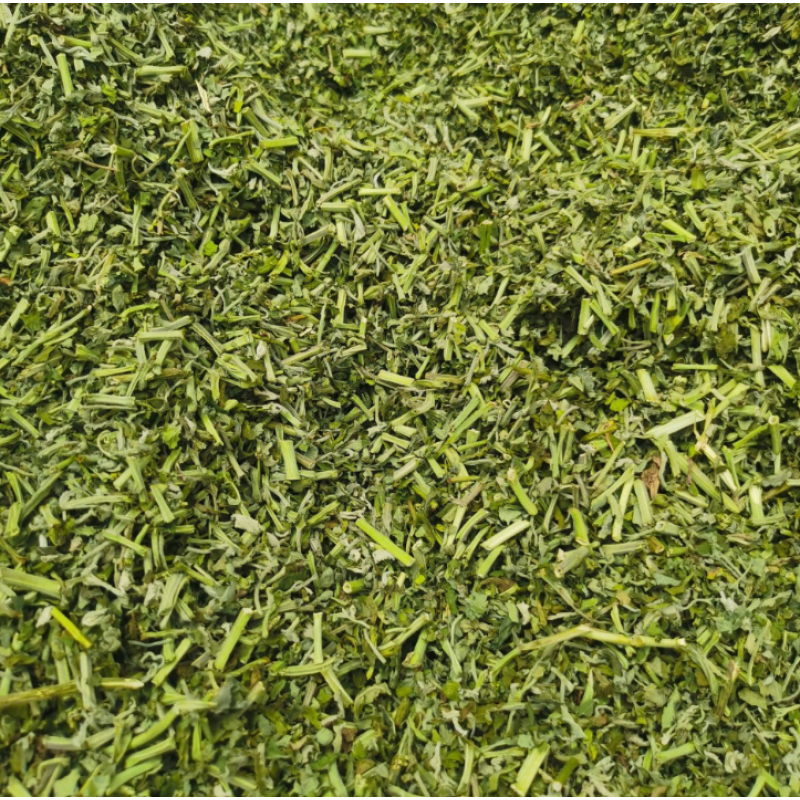 Catnip Leaf Supplier - 100% Organic Fresh Crushed Catnip Leaf Dried Treats for Kittens