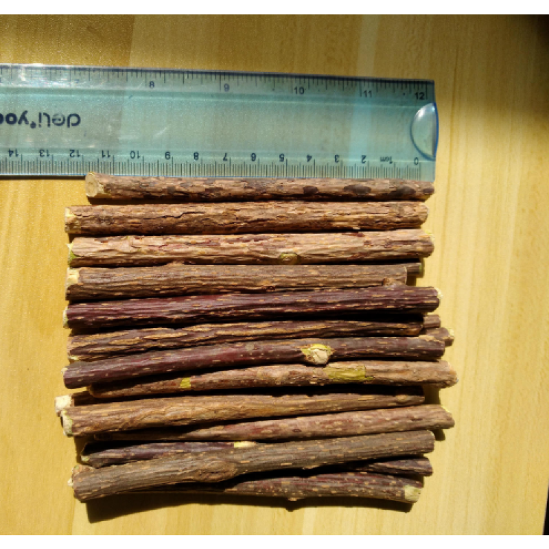 Silver Vine Sticks Manufacturer - Factory Supply Natural Dried Actinidia Polygama Sticks Pet