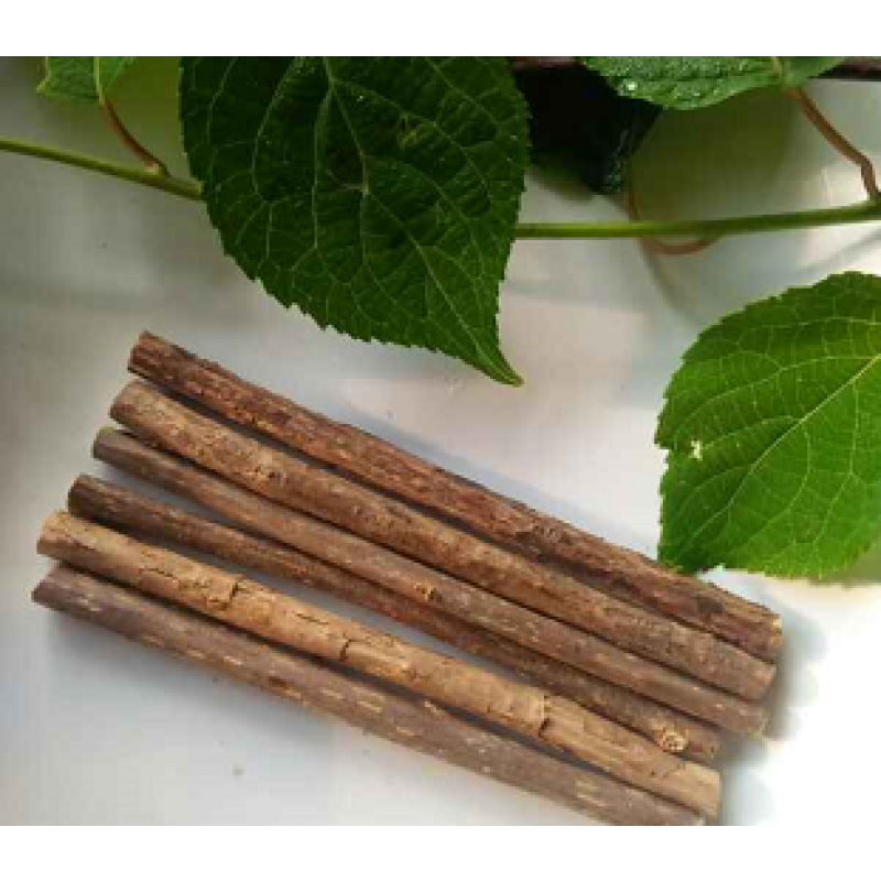 Silvervine Leaves Factory - 100% Organic Dry Actinidia Polygama Matatabi Leaves Pet Food