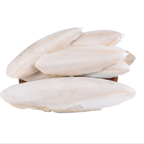 Cuttlebone Manufacturer - High Quality Dried Cuttlebone Sepium for Birds