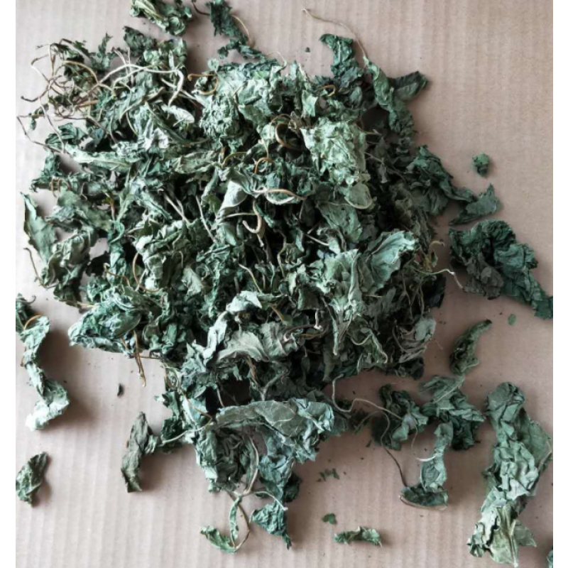 Silvervine Leaves Factory - 100% Organic Dry Actinidia Polygama Matatabi Leaves Pet Food