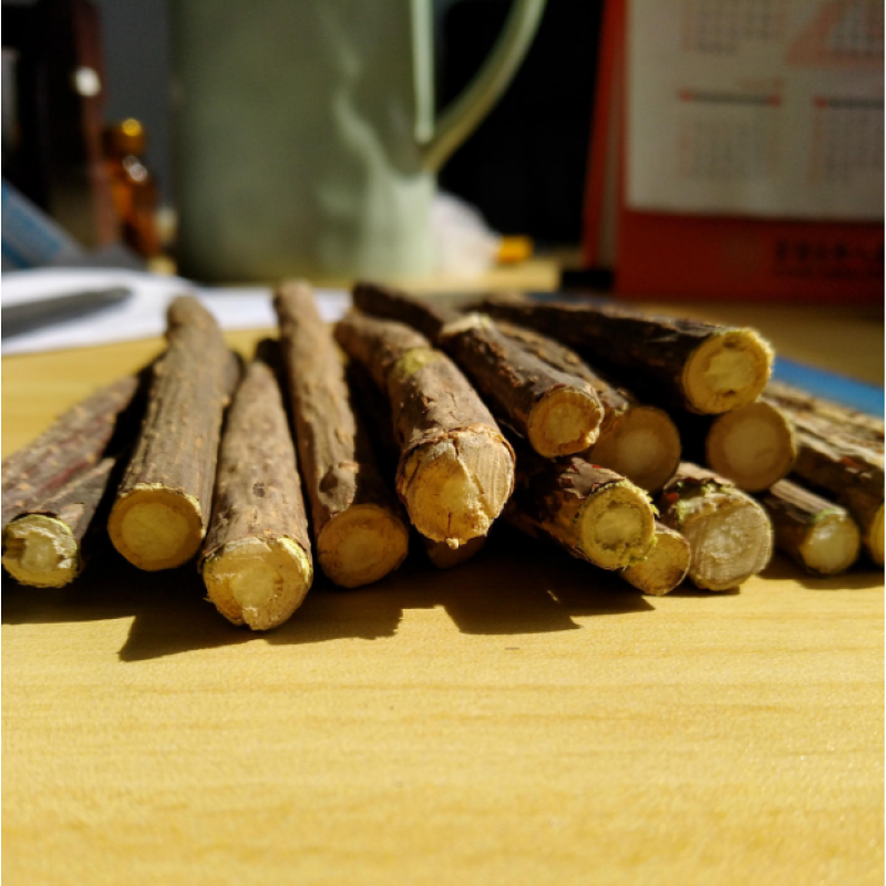 Silver Vine Sticks Manufacturer - Factory Supply Natural Dried Actinidia Polygama Sticks Pet