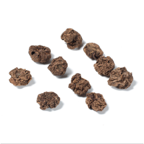 Matatabi Fruit Supplier - Factory Supply Dried Matatabi Fruit Actinidia Polygama for Cat