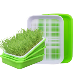 Hydroponic Tray Manufacturer - Factory Supply Polyethylene Plastic Seedling Nursery Sprout