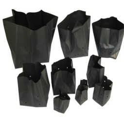 Seedling Grow Bag Factory - Different Size Perforated Black Plastic Bag for Plant Nursery