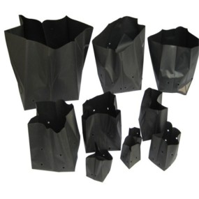 Seedling Grow Bag Factory - Different Size Perforated Black Plastic Bag for Plant Nursery