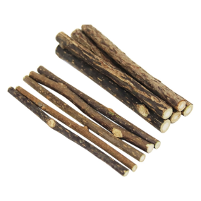Silver Vine Sticks Manufacturer - Factory Supply Natural Dried Actinidia Polygama Sticks Pet