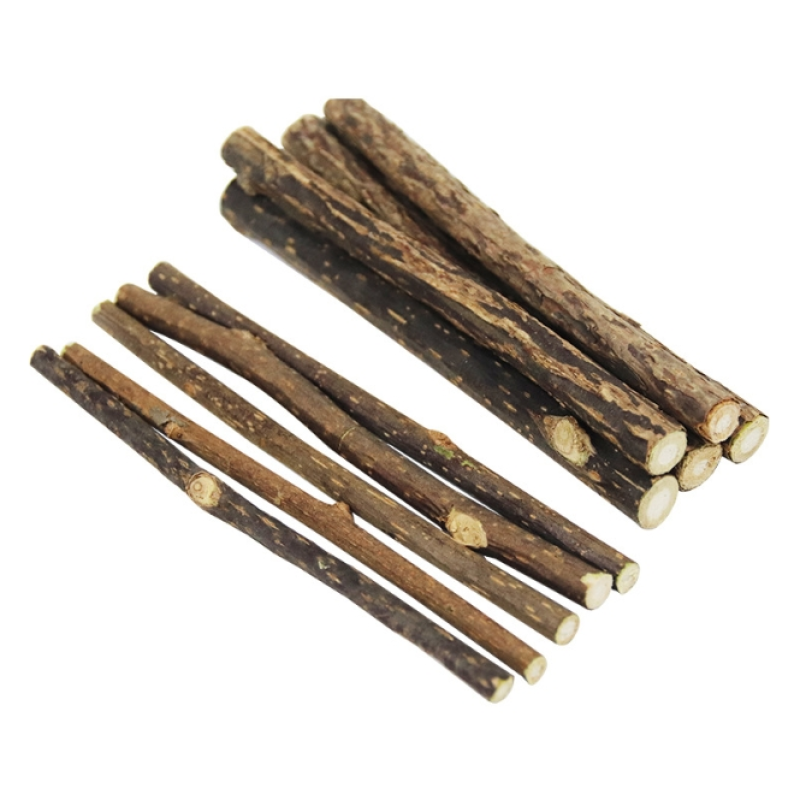 Silver Vine Sticks Manufacturer - Factory Supply Natural Dried Actinidia Polygama Sticks Pet