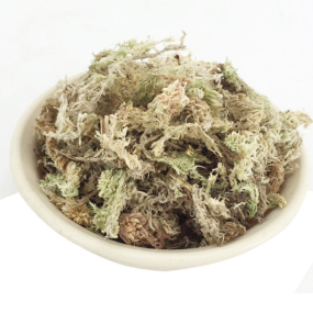 Peat Moss Supplier - Factory Supply Top Grade Dried Sphagnum Moss for Reptile Pet Mat