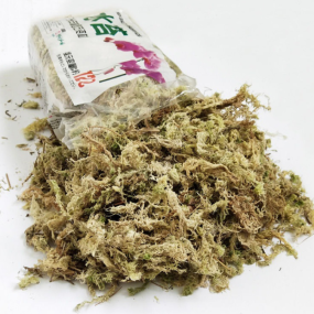 Dried Moss Factory - 150g Home-Packed Sphagnum Moss Peat Moss